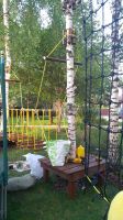Веревочный парк на деревьях